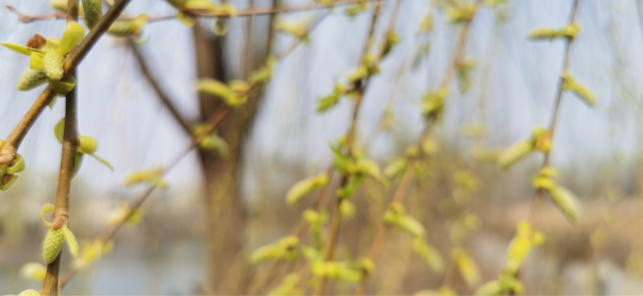 五年开源打造两千万价值背后是八十万债务缠身