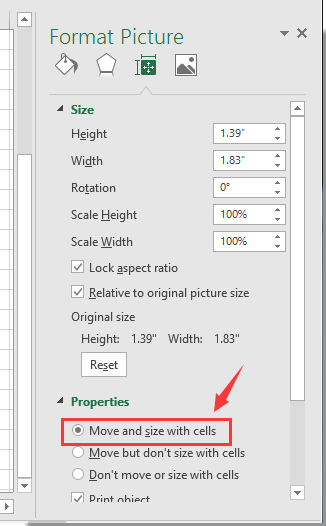 在“设置图片格式”窗格中选择“随单元格移动并调整大小”选项的截图