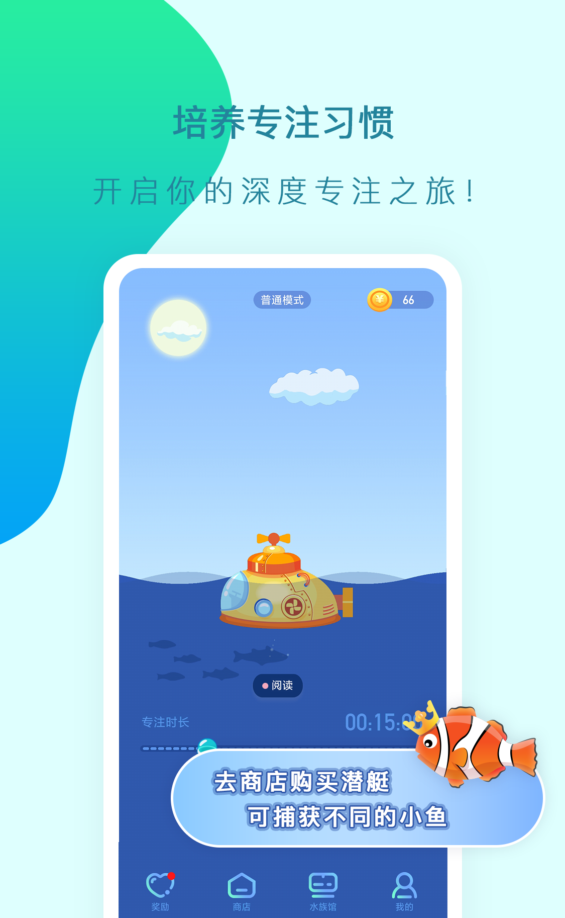 小鱼专注