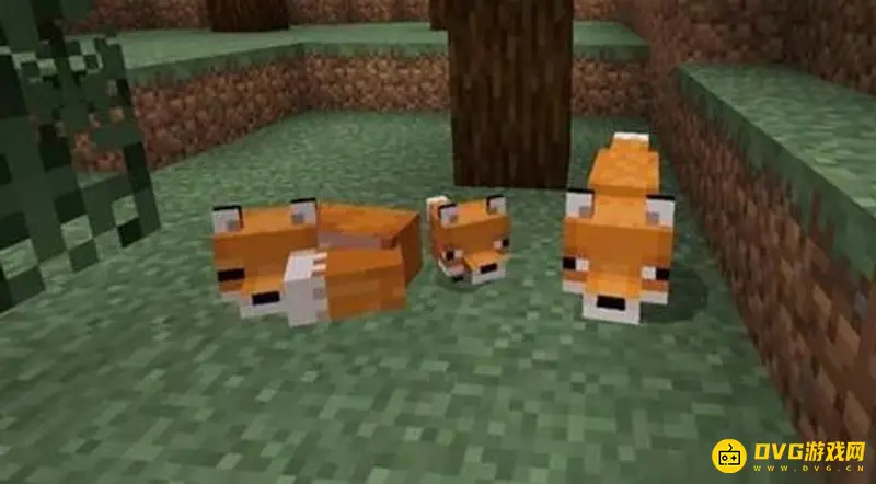 《我的世界手游》狐狸食物详解